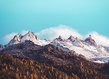 AG注册之路：开启可信数字身份的第一步